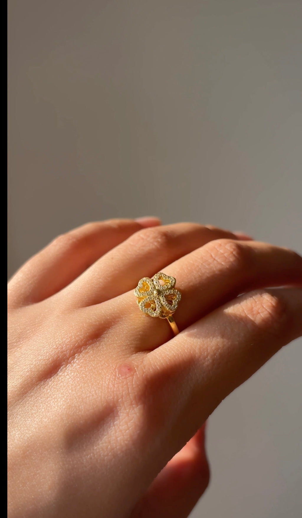 Spin & Charm Ring